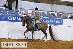 13r9_3329 thumbnail