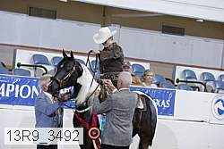 13r9_3492 thumbnail