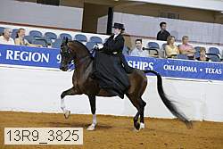 13r9_3825 thumbnail