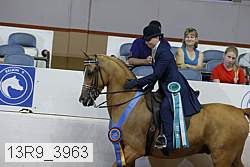 13r9_3963 thumbnail