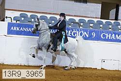 13r9_3965 thumbnail