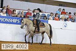 13r9_4002 thumbnail