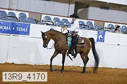 13r9_4170 thumbnail