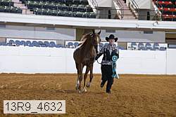 13r9_4632 thumbnail