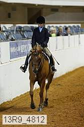 13r9_4812 thumbnail