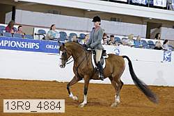 13r9_4884 thumbnail