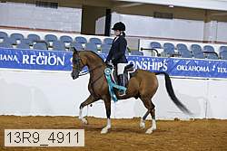 13r9_4911 thumbnail