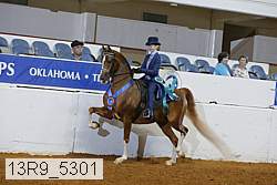 13r9_5301 thumbnail