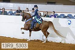 13r9_5303 thumbnail