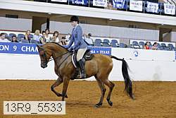 13r9_5533 thumbnail
