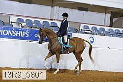 13r9_5801 thumbnail