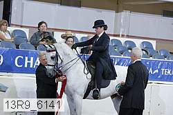 13r9_6141 thumbnail