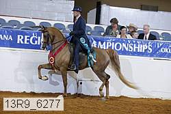 13r9_6277 thumbnail