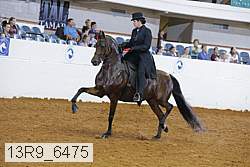 13r9_6475 thumbnail