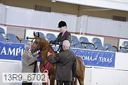 13r9_6702 thumbnail