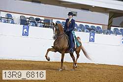13r9_6816 thumbnail