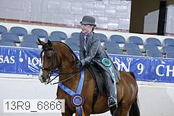 13r9_6866 thumbnail