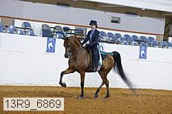 13r9_6869 thumbnail