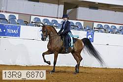 13r9_6870 thumbnail