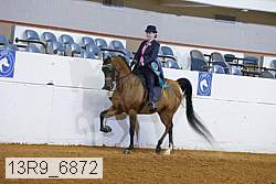 13r9_6872 thumbnail