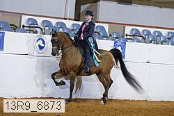 13r9_6873 thumbnail