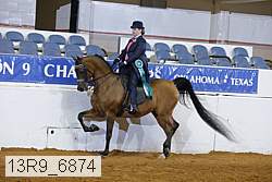 13r9_6874 thumbnail