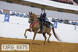 13r9_6875 thumbnail