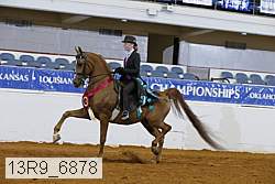 13r9_6878 thumbnail