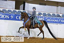 13r9_6881 thumbnail