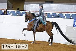 13r9_6882 thumbnail
