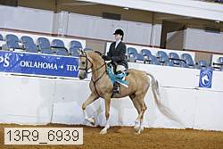 13r9_6939 thumbnail