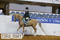 13r9_6941 thumbnail