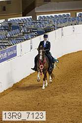 13r9_7123 thumbnail