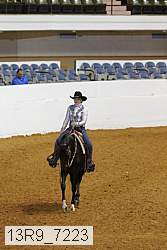 13r9_7223 thumbnail