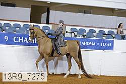 13r9_7275 thumbnail