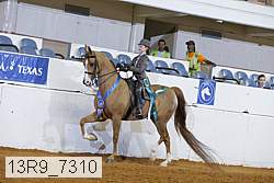13r9_7310 thumbnail