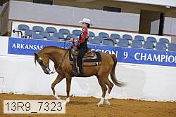 13r9_7323 thumbnail