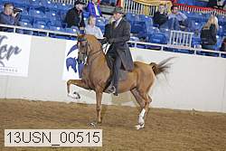 13usn_00515 thumbnail
