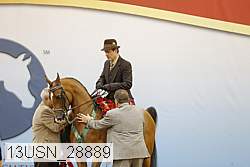 13usn_28889 thumbnail