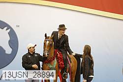 13usn_28894 thumbnail