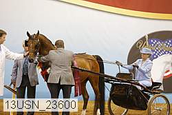 13usn_23600 thumbnail