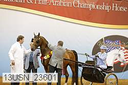 13usn_23601 thumbnail