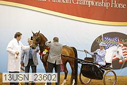 13usn_23602 thumbnail