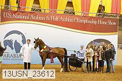 13usn_23612 thumbnail