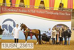 13usn_23613 thumbnail