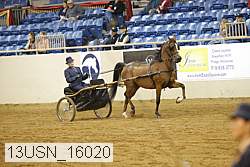 13usn_16020 thumbnail