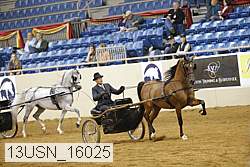 13usn_16025 thumbnail