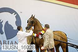 13usn_16028 thumbnail