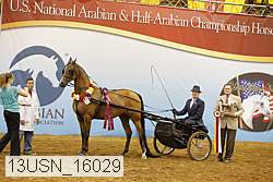 13usn_16029 thumbnail