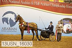 13usn_16030 thumbnail